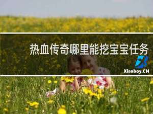 热血传奇哪里能挖宝宝任务