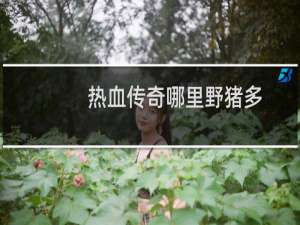 热血传奇哪里野猪多