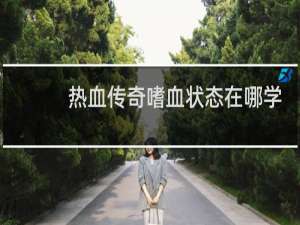 热血传奇嗜血状态在哪学