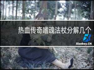 热血传奇嗜魂法杖分解几个