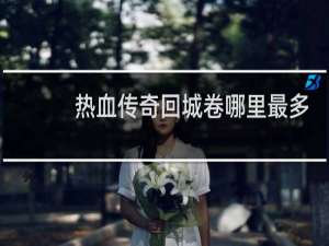 热血传奇回城卷哪里最多