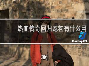 热血传奇回归宠物有什么用