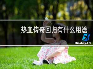热血传奇回归有什么用途