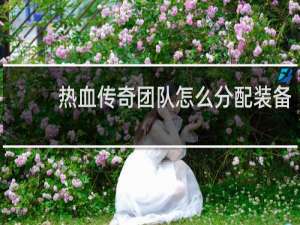 热血传奇团队怎么分配装备