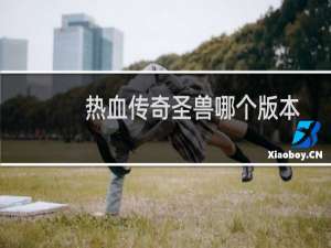 热血传奇圣兽哪个版本