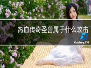 热血传奇圣兽属于什么攻击