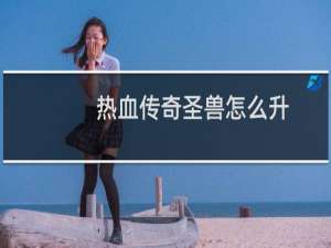 热血传奇圣兽怎么升