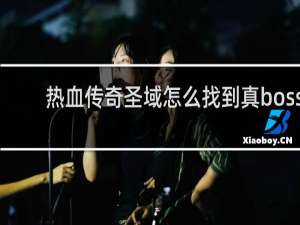 热血传奇圣域怎么找到真boss
