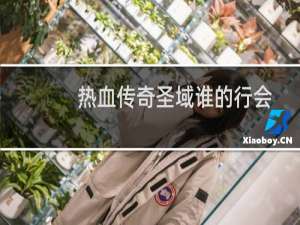 热血传奇圣域谁的行会
