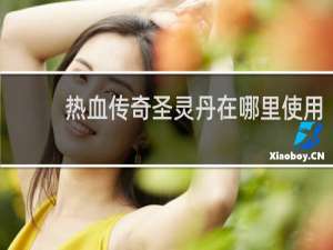 热血传奇圣灵丹在哪里使用