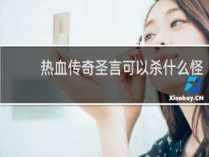 热血传奇圣言可以杀什么怪