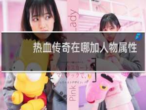 热血传奇在哪加人物属性