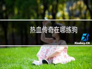 热血传奇在哪练狗