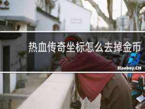 热血传奇坐标怎么去掉金币