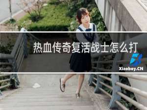 热血传奇复活战士怎么打
