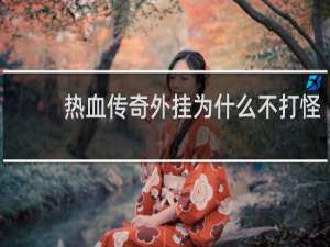 热血传奇外挂为什么不打怪
