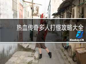 热血传奇多人打怪攻略大全