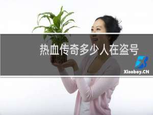 热血传奇多少人在盗号