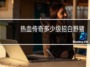 热血传奇多少级招白野猪