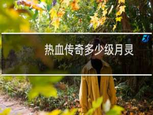 热血传奇多少级月灵