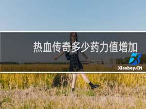 热血传奇多少药力值增加