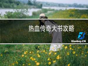 热血传奇大书攻略