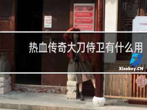 热血传奇大刀侍卫有什么用