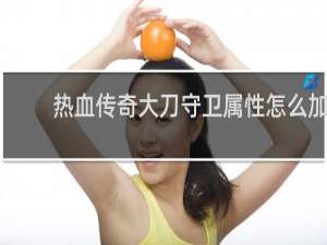 热血传奇大刀守卫属性怎么加