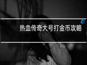 热血传奇大号打金币攻略
