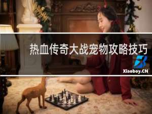 热血传奇大战宠物攻略技巧