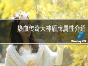 热血传奇大神盾牌属性介绍