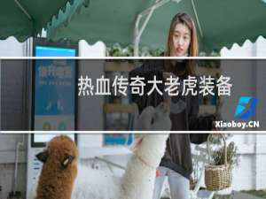 热血传奇大老虎装备