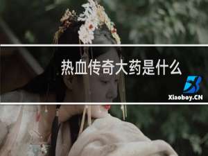 热血传奇大药是什么