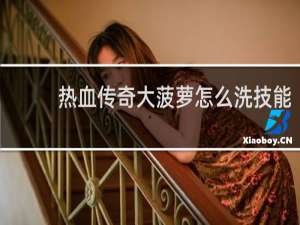 热血传奇大菠萝怎么洗技能