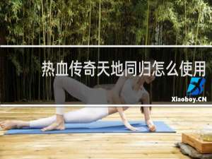 热血传奇天地同归怎么使用