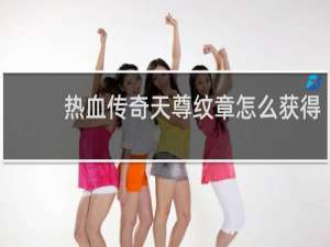 热血传奇天尊纹章怎么获得