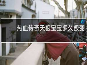热血传奇天狼宝宝多久叛变