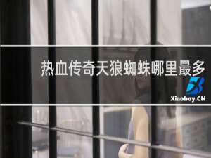 热血传奇天狼蜘蛛哪里最多