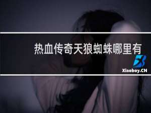 热血传奇天狼蜘蛛哪里有