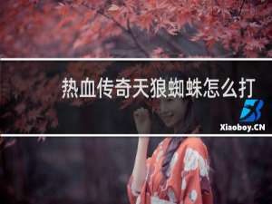 热血传奇天狼蜘蛛怎么打