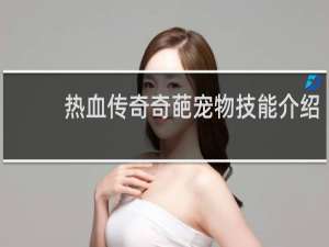 热血传奇奇葩宠物技能介绍