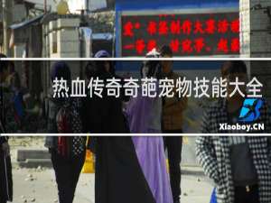 热血传奇奇葩宠物技能大全