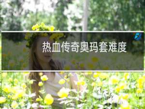 热血传奇奥玛套难度