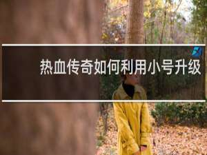 热血传奇如何利用小号升级