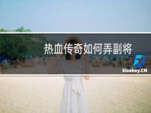 热血传奇如何弄副将