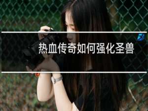 热血传奇如何强化圣兽