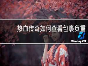 热血传奇如何查看包裹负重