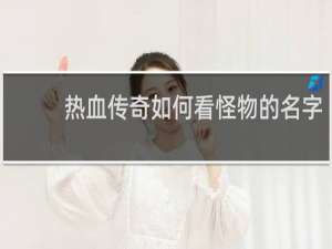 热血传奇如何看怪物的名字