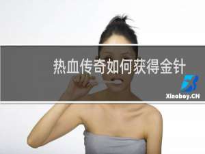 热血传奇如何获得金针