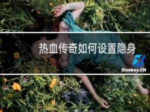 热血传奇如何设置隐身